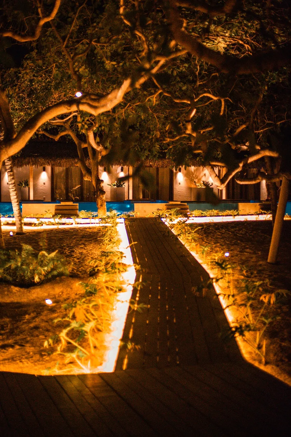 Caminho de madeira iluminado à luz baixa, à noite