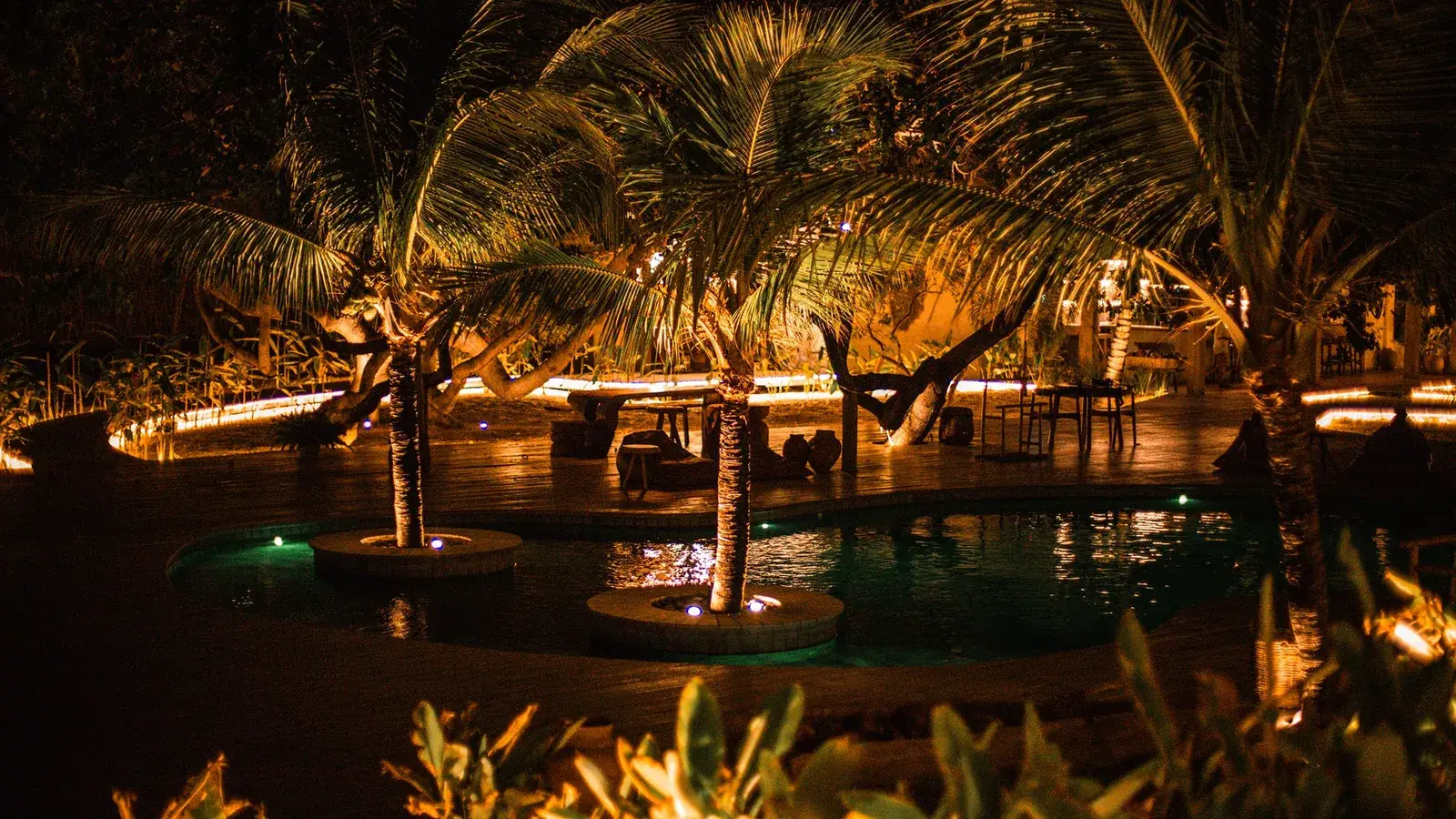 Piscinas iluminadas entre palmeiras à noite