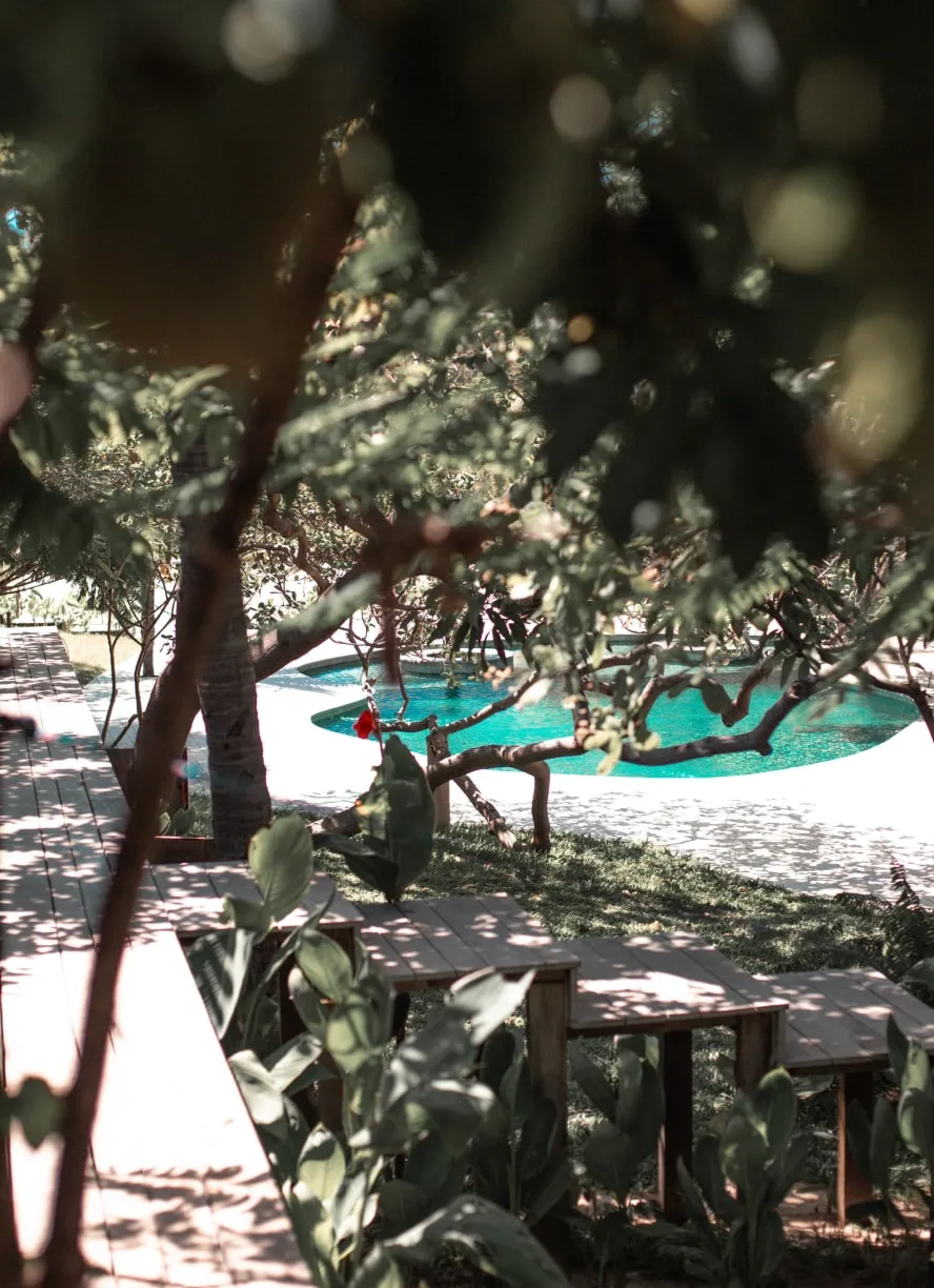 Piscina orgânica turquesa vista por entre a folhagem de um cajueiro